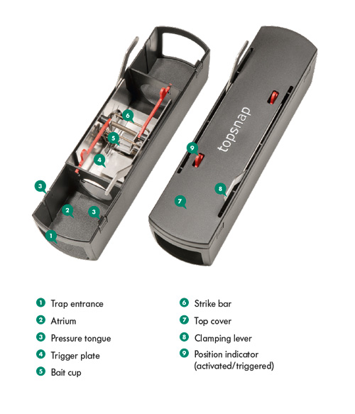 The different parts of the trap